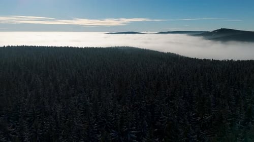Luftbild der mit Wald bedeckten Winterberge über Wolken