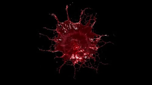 Dynamic Red Fluid Splash Expanding into Abstract Web