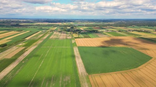 Aerial view with the landscape geometry texture of a lot of agriculture fields with different plants