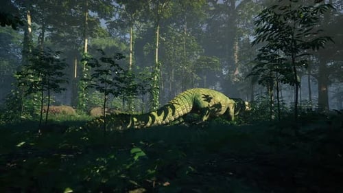 Crocodile Lurking in a Lush Forest Environment During Early Morning Hours