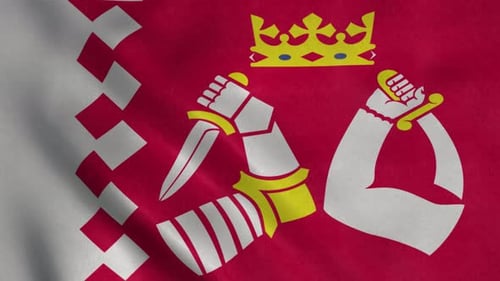 Heraldic Flag Waving with Crown and Armored Arms