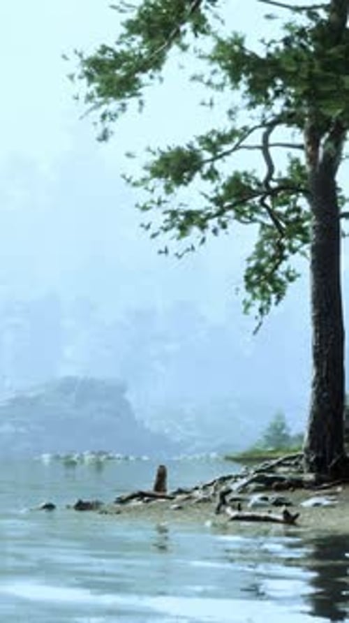 A Body of Water Surrounded By Trees and Rocks