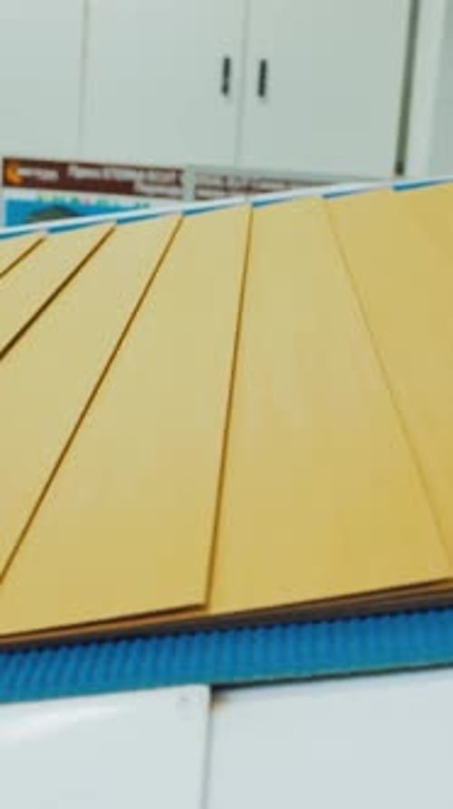 Continuous Motion of Corrugated Cardboard Sheets Moving Along Conveyor Belt in Manufacturing