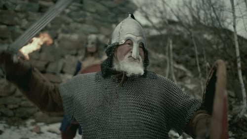 Medieval Knights with Swords and Torches