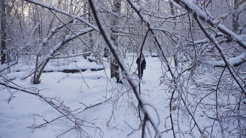 A Boy Walks with a Sled in a Winter Forest