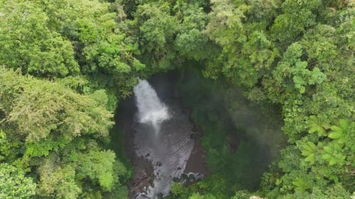 Circular Plunge Pool and Lush Rim Around Powerful Cascade in Bali Indonesia