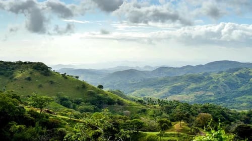 Cloud And Mountain Forest