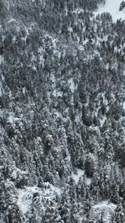 Vertical Video Overhead Capture of Snowy Mountain Ranges and Mysterious Forest