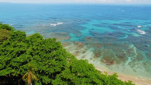 Green coastal forest above shallow turquoise reef sea on sunny tropical day
