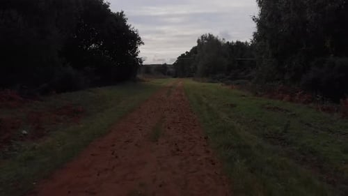 Red Dirt road fly over with forest on each side