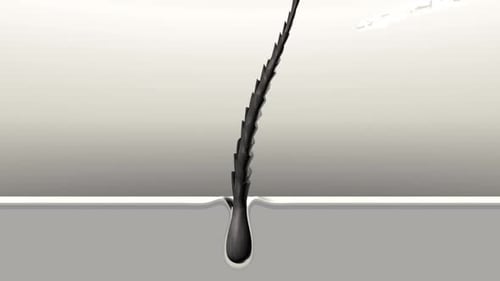 Close-up of sharp blade cutting through material