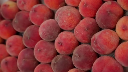 Close Up of a Group of Peaches