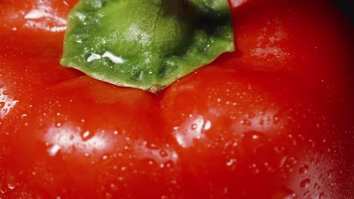 Red Bell pepper macro top view. Green peduncle and water droplets.