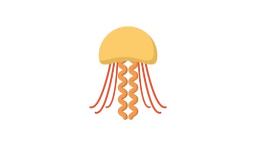 Animated Flat Design Jellyfish Icon Reveal