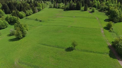 Aerial Drone Flight Over Lush Green Pastures and Forested Hills in Summer