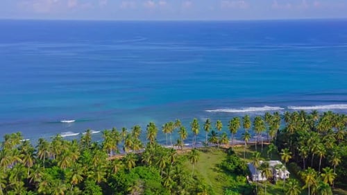Drohnenaufnahmen von Tropical Beach Paradise von abgelegenen Palmen und türkisfarbenem Meer