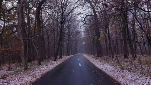 Leere Asphaltstraße im Wald bei verschneitem Wetter. Malerischer POV durch den verschneiten Wald. Schneeflocken