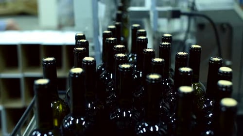 Observing the Wine Bottle Conveyor System in Action at a Production Facility
