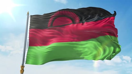 Malawi National Flag Realistic Waving Animation