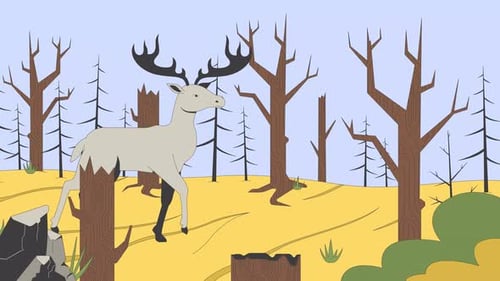 Deforestation and forest loss cartoon animation