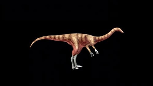 Wild Gallimimus Idle 2