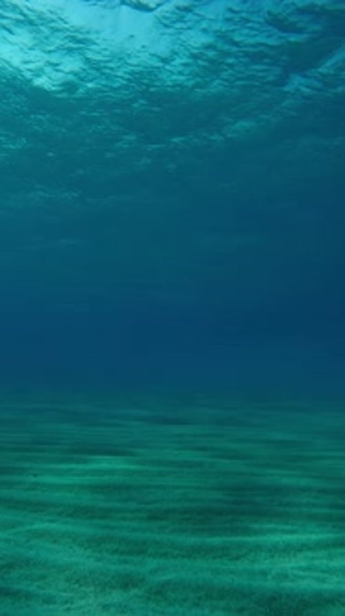 Mouvement vers l'avant au-dessus du fond sablonneux de l'océan avec éblouissement du soleil, mouvement lent