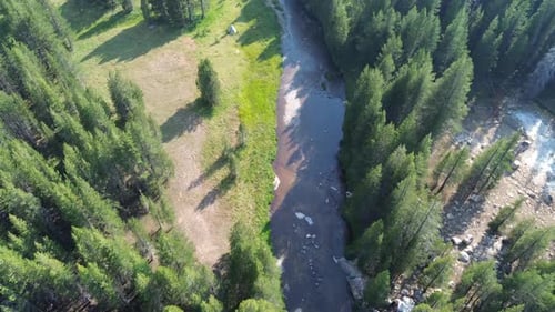 Forest view with a river from above