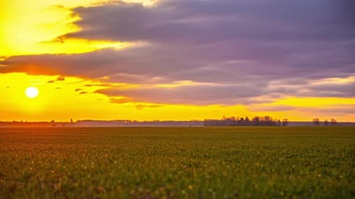 Dramatic timelapse of a golden sunset over a vast rural field with moving clouds