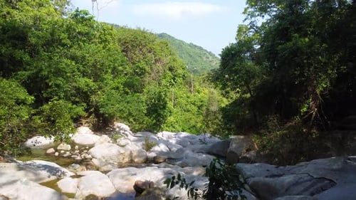 Tranquil forest stream flowing over rocks, lush greenery, daylight, serene nature scene
