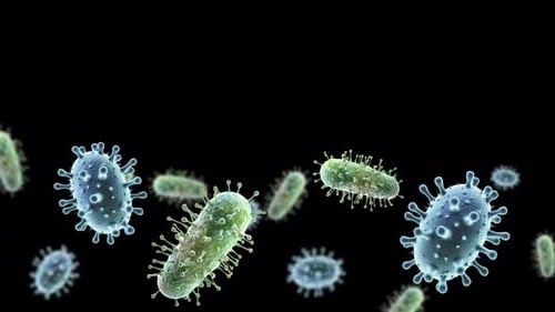 Microscopic Organisms Floating 3D Animation