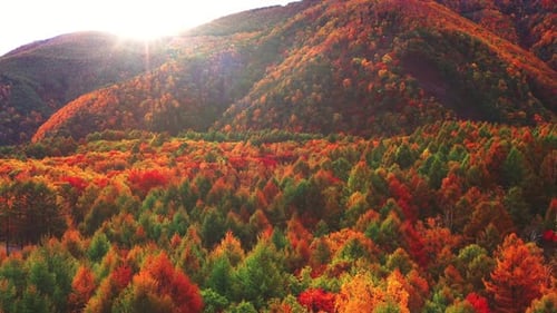 Berglandschaft während der Herbstsaison.