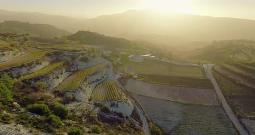 Aerial View of Vineyards at Sunset in the Mountains of Cyprus