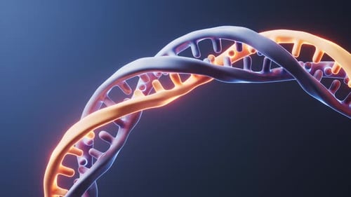 3D DNA Double Helix Rotation for Science and Medicine