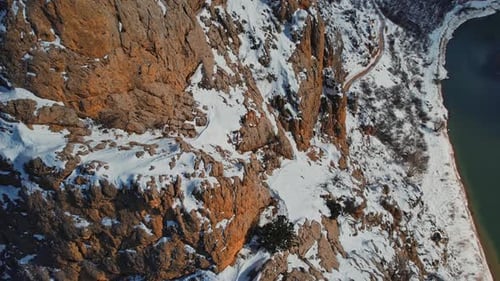 Natural Wildlife, Winter