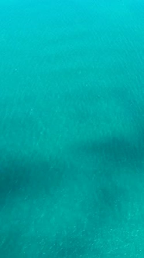 Tropical Sea with Turquoise Water