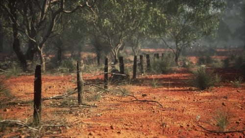 Panning Outback Landscape with Old Fence