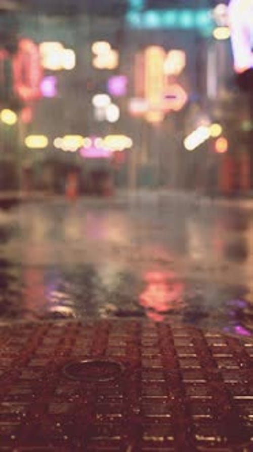 Rainy Night in Asian Town With Neon Signs