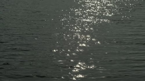 Sunlight Twinkling and Reflecting Off River