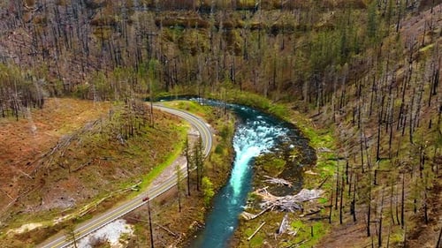 Beautiful mountain river with rapids flowing among the rocks covered with dry tree trunks.