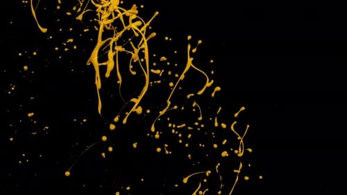Energetic Paint Splash