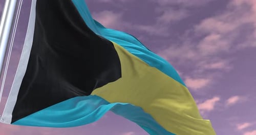 Realistic National Flag Waving Seamless Loop