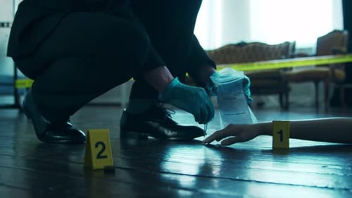 Investigator Collects Evidence at Crime Scene