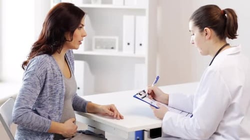 Pregnant Woman Talking To Doctor in Hospital Office