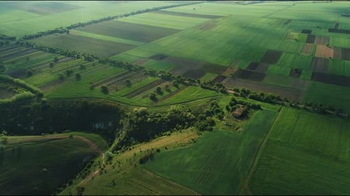 Bright Farmland With Trees And Tracks Colorful Countryside Scene With Crops And Pathways