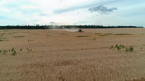 Combine Harvester in the Field