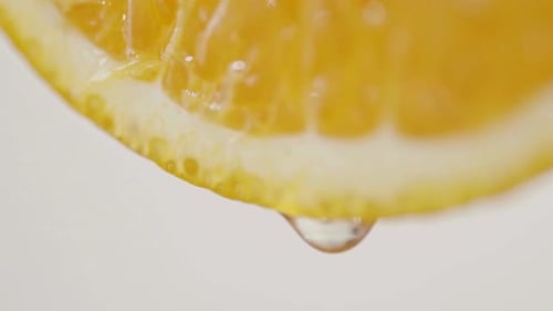 Orange Fruit