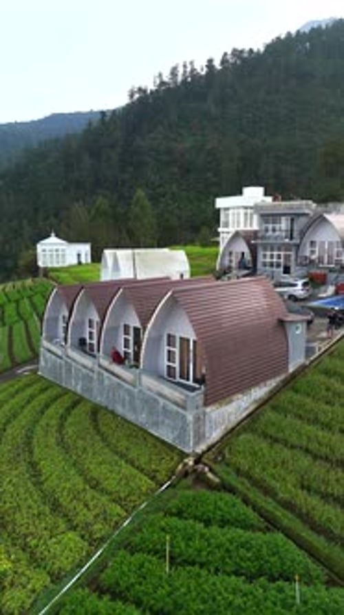 Destination de glamping tendance intégrée au paysage agricole rural de Mount