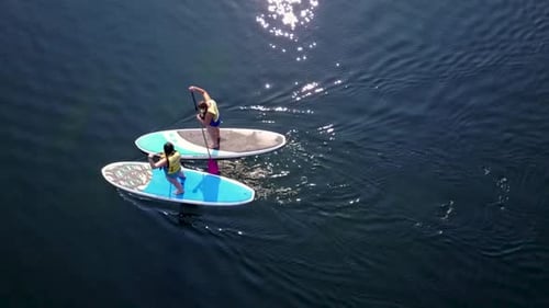 Aerial, top down, static shot of people standing on paddle boards on a lake, in Washington state, US