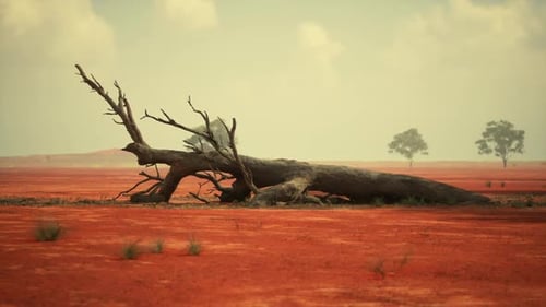 A Fallen Tree Stretches Across the Vibrant African Savanna Under a Clear Sky