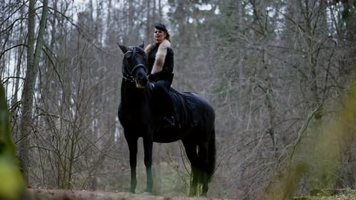 Belle femme souriante à cheval noir dans la forêt d'automne Superbe figure féminine dans le jardin royal